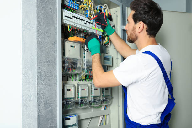 Best Electric Panel Repair  in Virginia, IL
